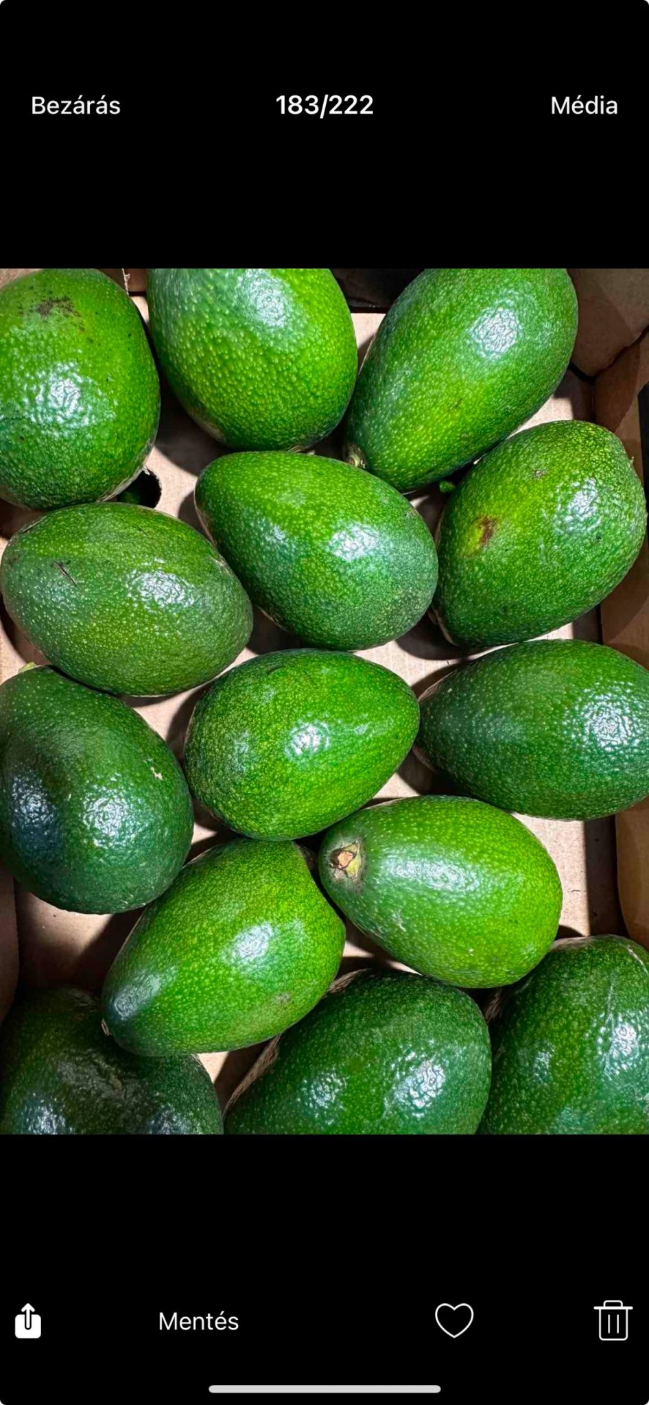 Avokádó - Zöldség-gyümölcs kis- és nagyker