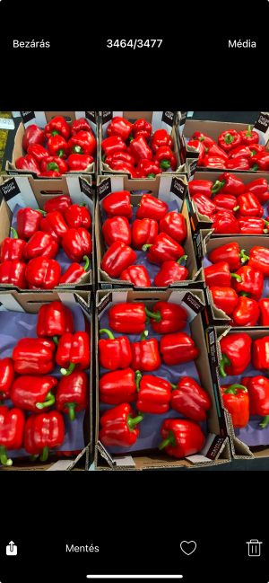 Californiai paprika 1